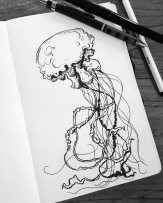 Jellyfish sketch.